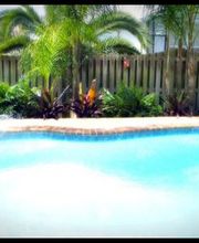 Cody Pools image 19