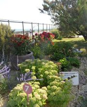 Golf Miniature SARL image 2