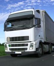 Lira Utrilla S.L. imagen 2