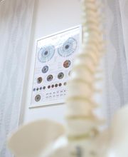 Masajista Bilbao imagen 6