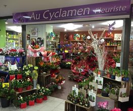 Au Cyclamen image 6