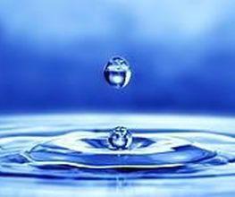 Eau Et Evolution image 3