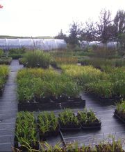 Garten- und Landschaftsbau