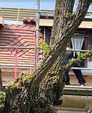 Dordogne Toitures image 4