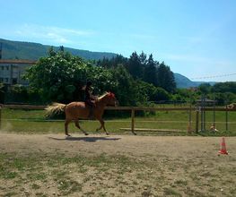 Cheval Vert image 5