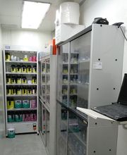 Gallery Cliente