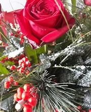 Inna's Blumen Galerie Bild 2