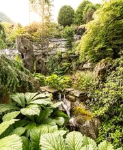 Beckmann & Püntener SA - Giardinieri Gordevio Bild 5