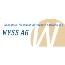 Wyss AG Spenglerei Flachdach Blitzschutz