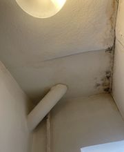 IMG_6227.jpeg
