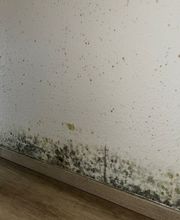 SH-Immo & partner Bild 11