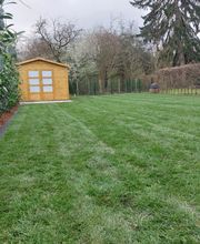 Rollrasen verlegen im Frühling inkl. Heckenpflanzung