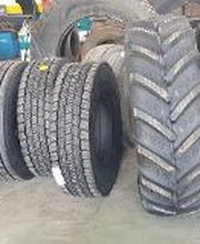 Euromaster Gomauto 2006 imagen 7