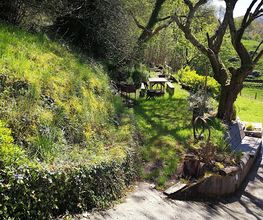 IMG_20180417_154414.jpg