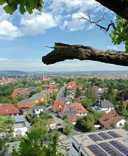 Die Baumsanitäter GalabauM Bild 11