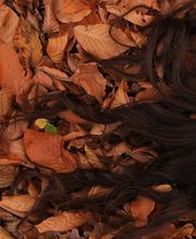 LEXUR GmbH - Manufaktur für Naturkosmetik Bild 9