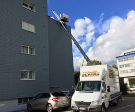 Gepard Umzug GmbH Bild 1