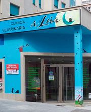 a-media-lua-clinica-veterinaria.jpg