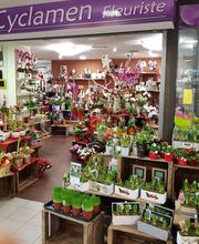 Au Cyclamen image 2