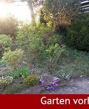 Garten-vorher