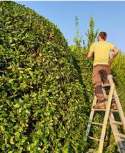 Bernasconi Willy SA Bild 3