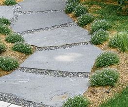 Mint Gardens Bild 11