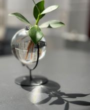 ZUM TURM Restaurant Bild 13