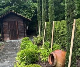 Schneider Gartengestaltung AG Bild 10