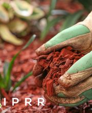 Inland Pacific Resource Recovery image 4