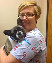 The Pet Doctor - O'Fallon image 19