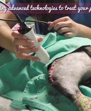 Tellico Plains Clinic image 2
