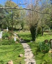 Van Tilbeurgh Sophie image 6