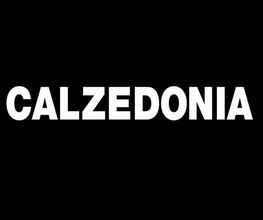CALZEDONIA image 1