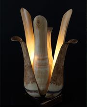 Le Photographe image 3