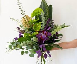 234093805-2-2E6Ng2Zs4D1783853755156.jpeg