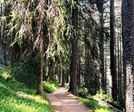 Sprachgewand Bild 7