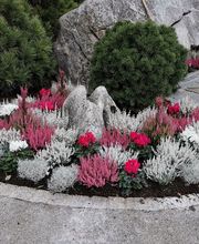 Oesch Fleurs & Jardins SA Bild 7