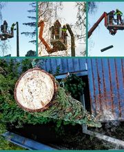 Andreas Steger, Forst- und Gartenservice Bild 7