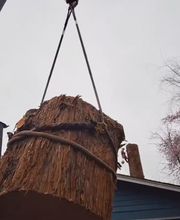 Southern Oregon Tree Care LLC image 12