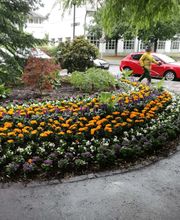 Gärtnerei Metzler Bild 4