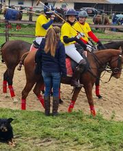 Haras du Cercle image 5