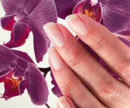 Petite Fée des Ongles image 6