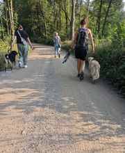 natural.dogs. Bild 12