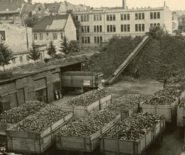 Firma anno 1953.jpg