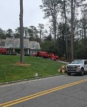 Southeast Tree image 2