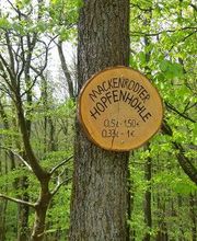 Achathotel \"Zum Schwan\" Bild 17