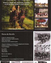 Le Haras De Muralis image 9