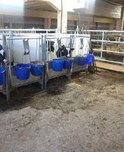 DSC Vial Sàrl Bild 18