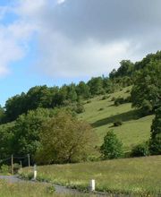 Poumirol Nathalie image 1