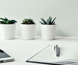 VebSt -Einzelunternehmen - Bild 6